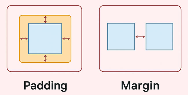 Margin Y Padding En CSS Para Principiantes Gu a Con Ejemplos Margin Y Padding En CSS Para Principiantes Gu a Con Ejemplos