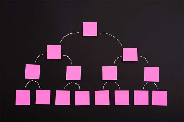 Aplicación de la Taxonomía en la Estructura Web