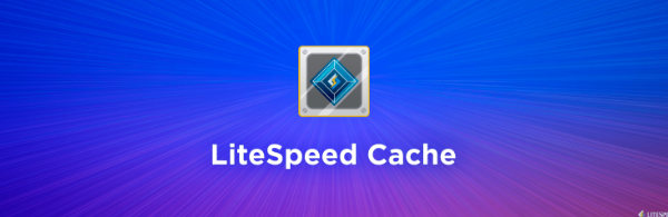 litespeed cache plugin