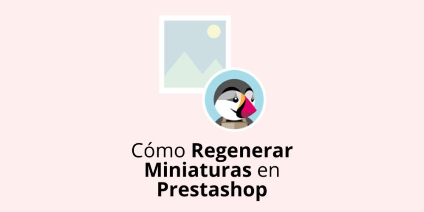 Cómo Regenerar miniaturas en Prestashop