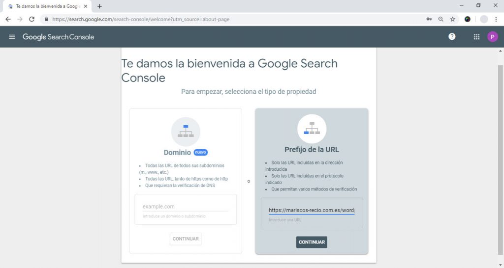 Añadiendo nuestro sitio a la Search Console